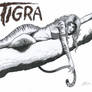 TIGRA