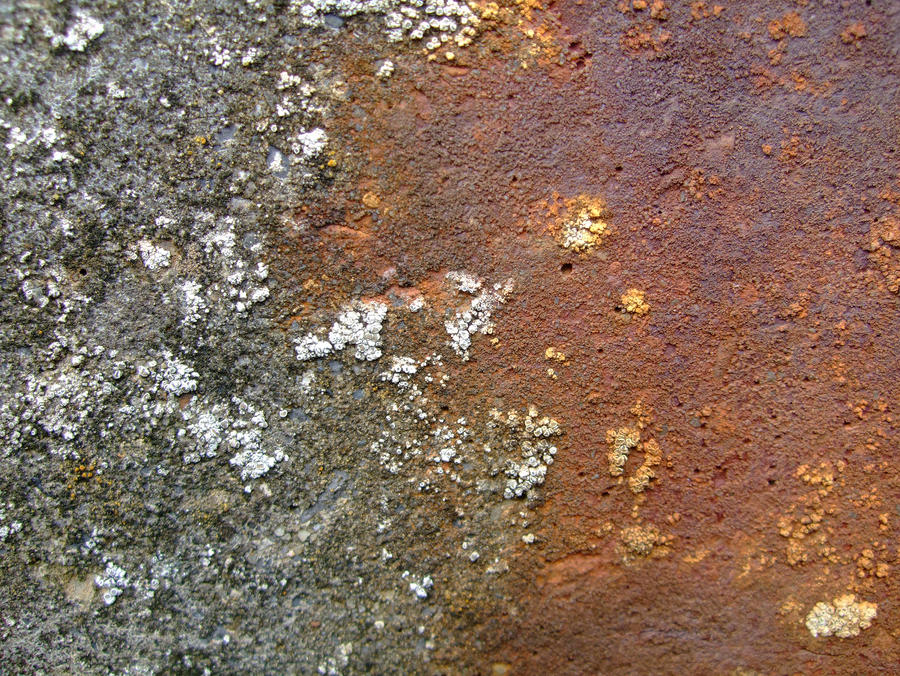 SMD Free Texture 18: Ocean Rust Rock