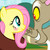 Fluttercord icon