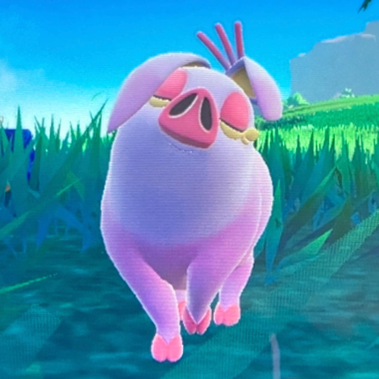 Shiny Oinkologne (Female) by SoEeveelicious on DeviantArt