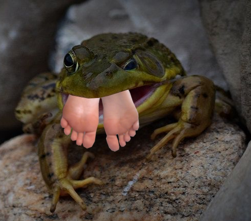 Maria Rude Frog Maria and the frog by Voreteca on DeviantArt