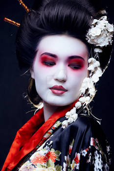 In my World I see Geisha Fx