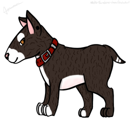 [PC] Bull terriers are the best