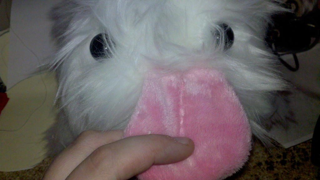 Snip it of Poro