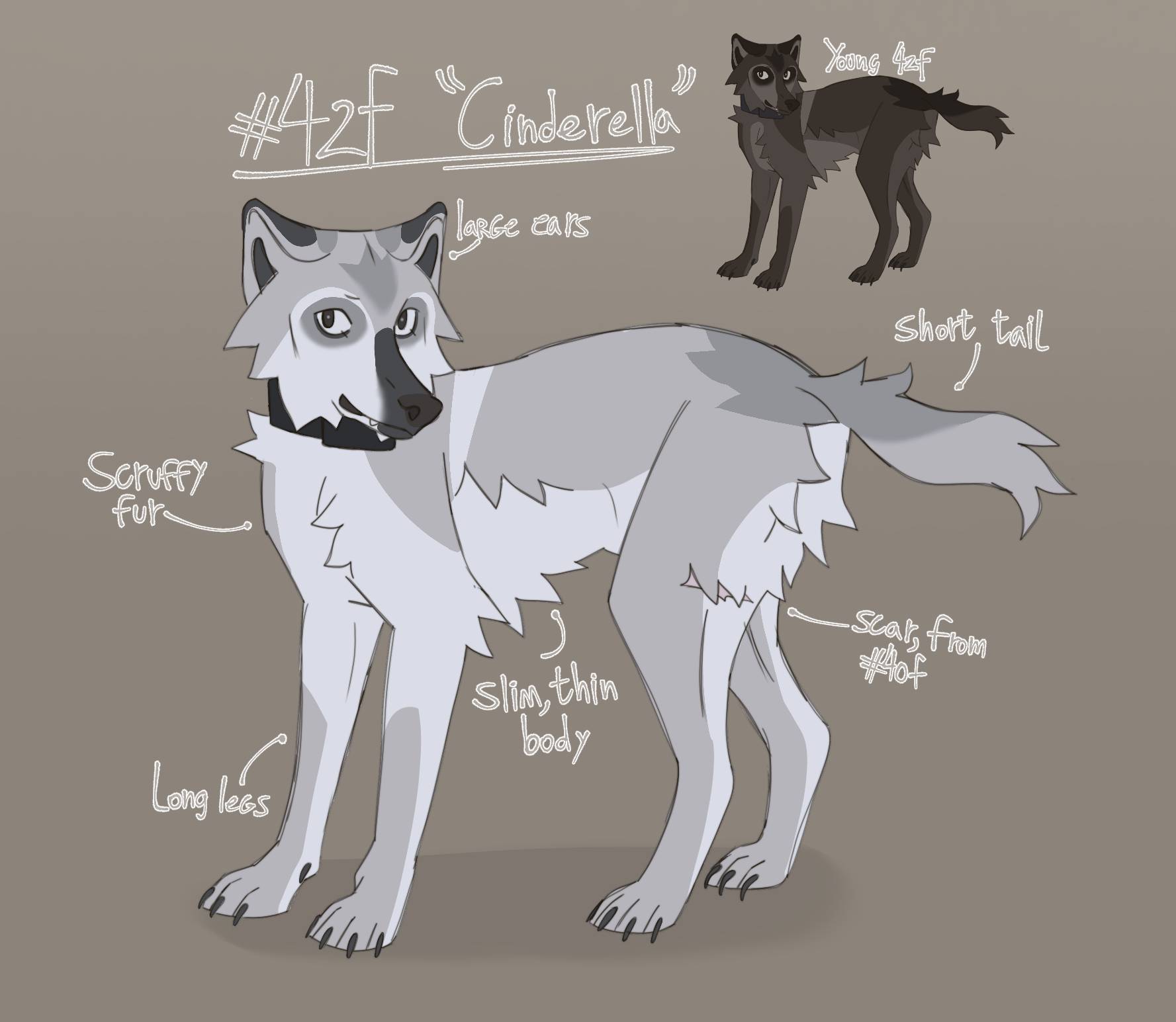 Wolf #42F from the Druid peak pack! by Wolfsoullobo on DeviantArt