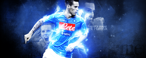 Hamsik -2013-