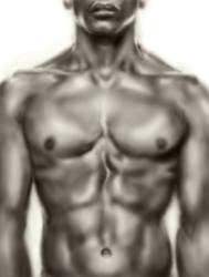 Male torso sketch.