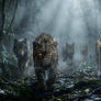 Whispers in The Fog...