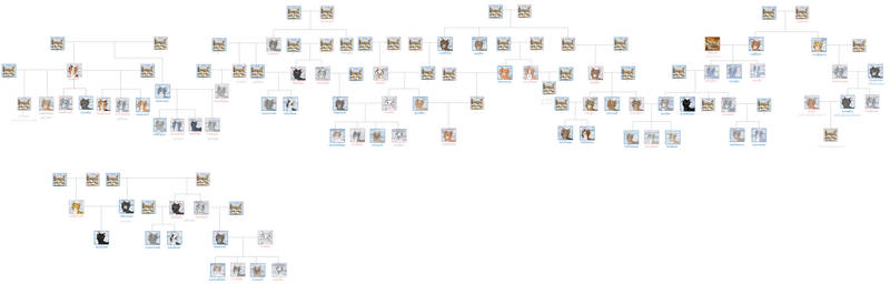 Proposed Riverclan Family Tree