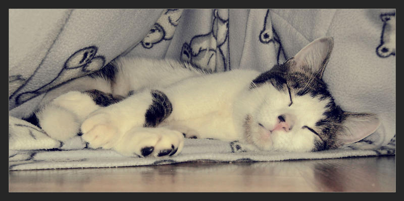 late riser by Tenebris69 on DeviantArt