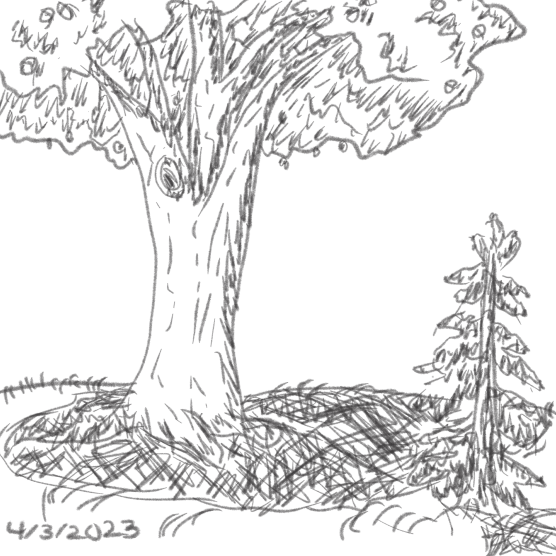 Tree Scetch by SammraArt on DeviantArt