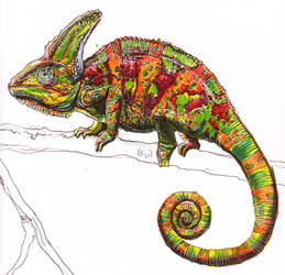 Chameleon