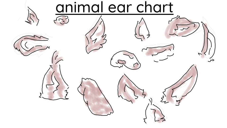 animal ear chart by shortskirtbich14 on DeviantArt