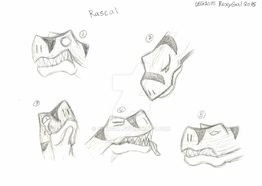 Animal Rascal Face Rascal's Face Expressions by RexyGal on DeviantArt