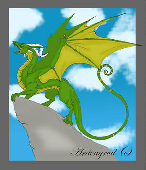 Dragon 1