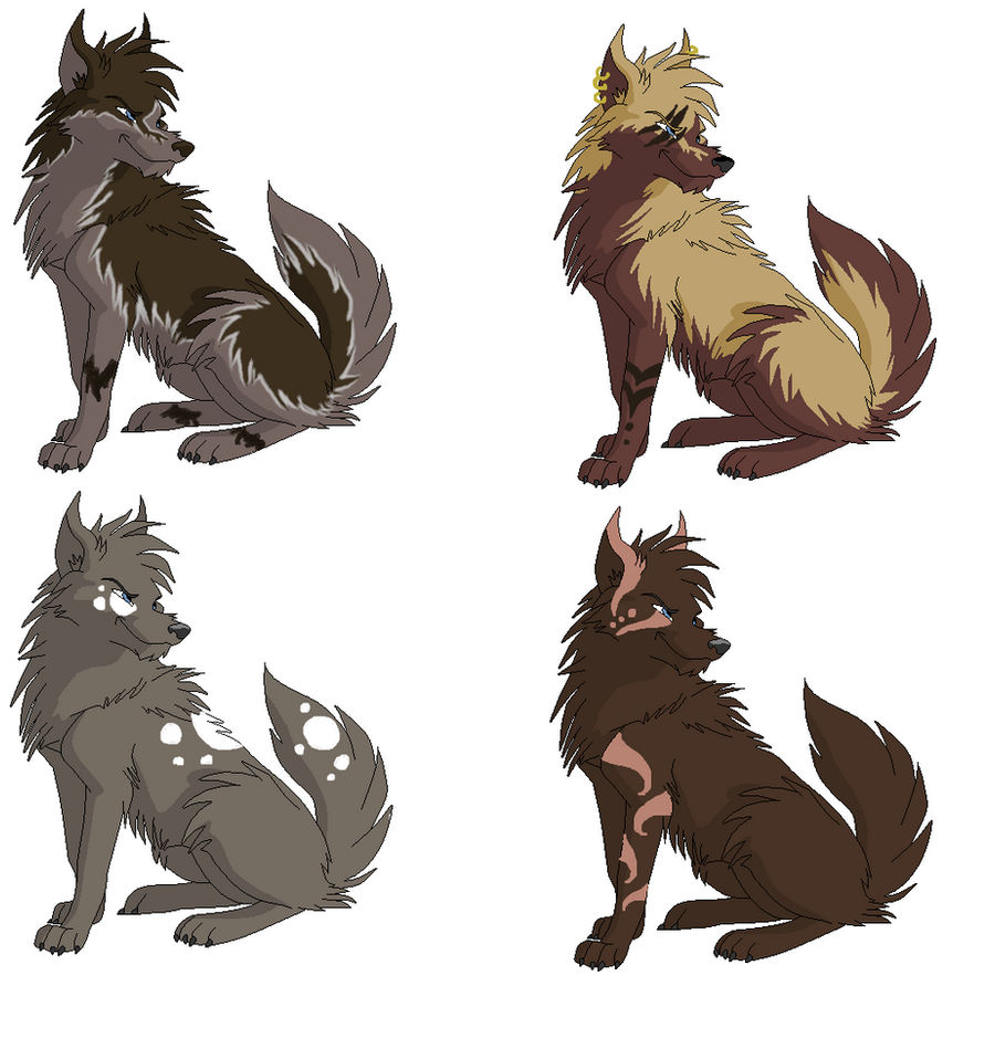 Wolf adoptables