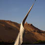 Felucca on Nile