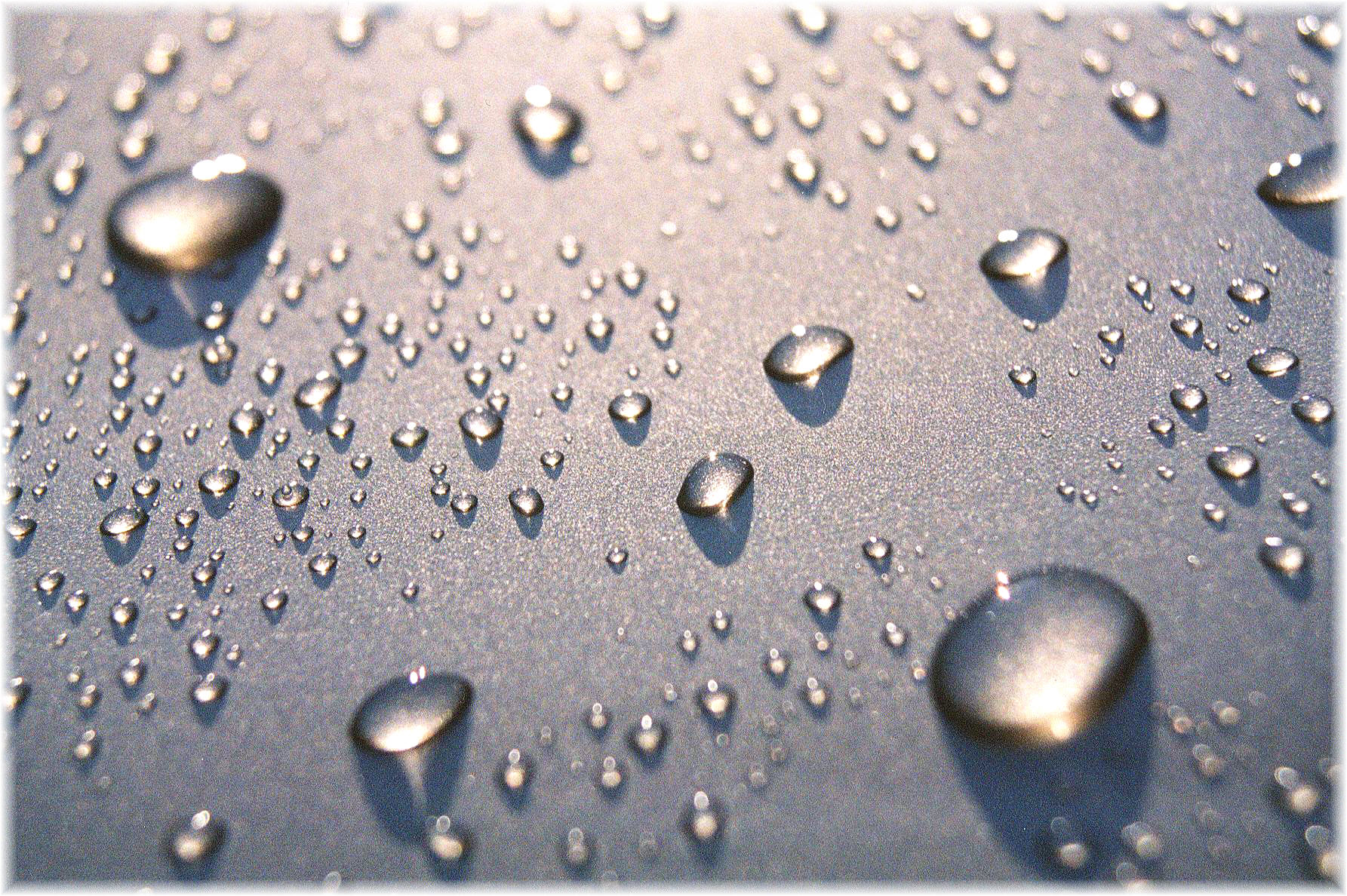 forlorn droplets