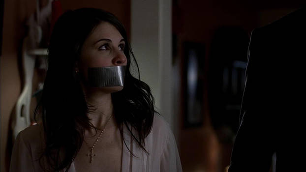 Duct Taped Mouths on TV Vol 10 by duckducttape