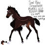 9879 Foal Design- IBS Prince of Tainted Spirits
