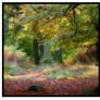 autumn at padley gorge 2