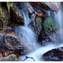 A stream in Derbyshire 2