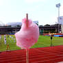 A typical day as a candyfloss