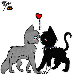 Scourge x Ashfur (2)