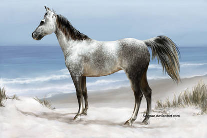 The grey mare