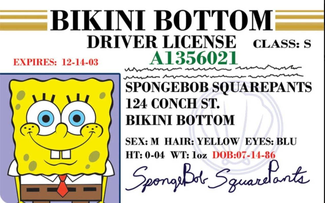 Spongebob s Driver s License By Thomaslandry16 On DeviantArt spongebob-s-driver-s-license-by-thomaslandry16-on-deviantart