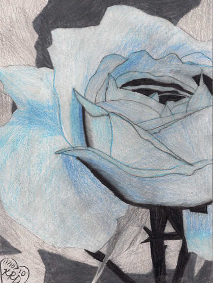 Blue Rose Drawing by twilightxdream on DeviantArt