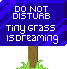 Dreaming Grass
