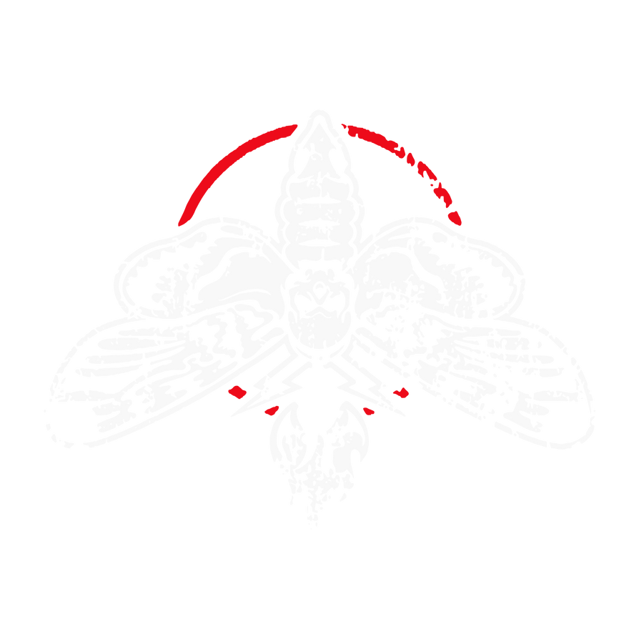 Bray Wyatt Logo 2025