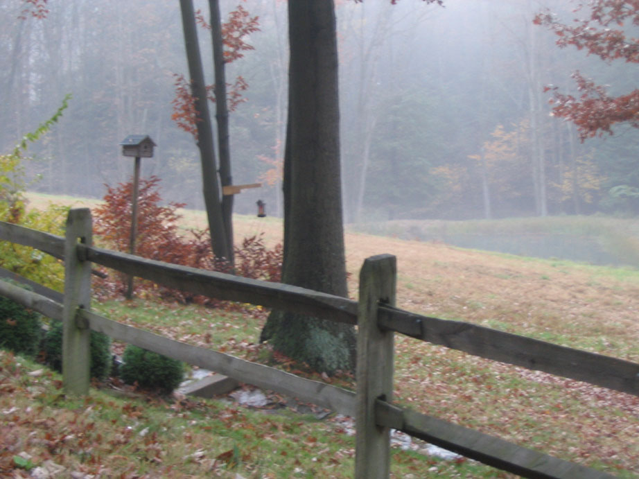 Autumn Pond