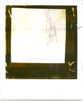 Polaroid Experiment 1