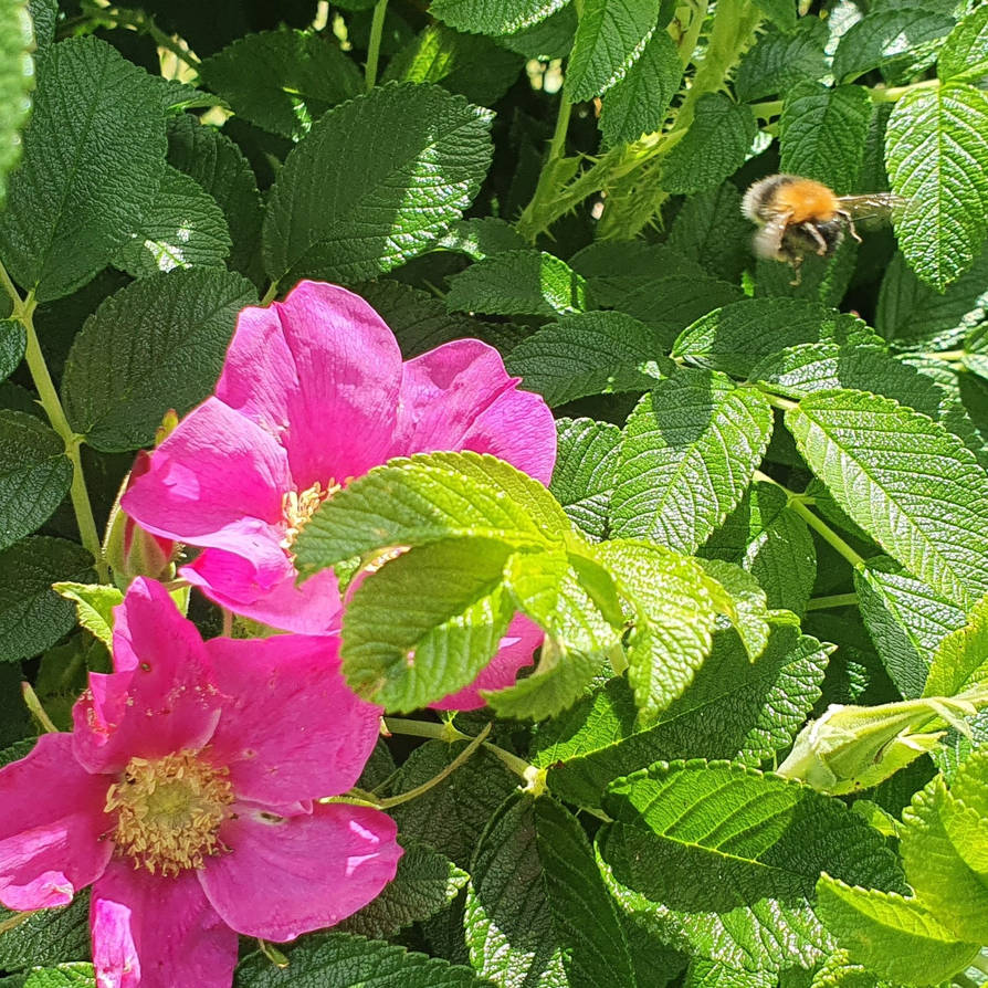 Approaching target by snowjoy on DeviantArt