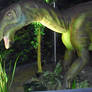 Iguanodon Bernissartensis