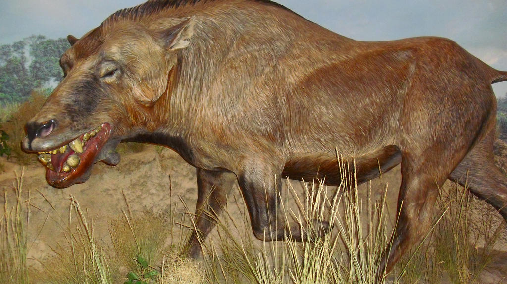 Daeodon Shoshonensis by Leviarex on DeviantArt