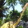 Brachiosaurus Altithorax