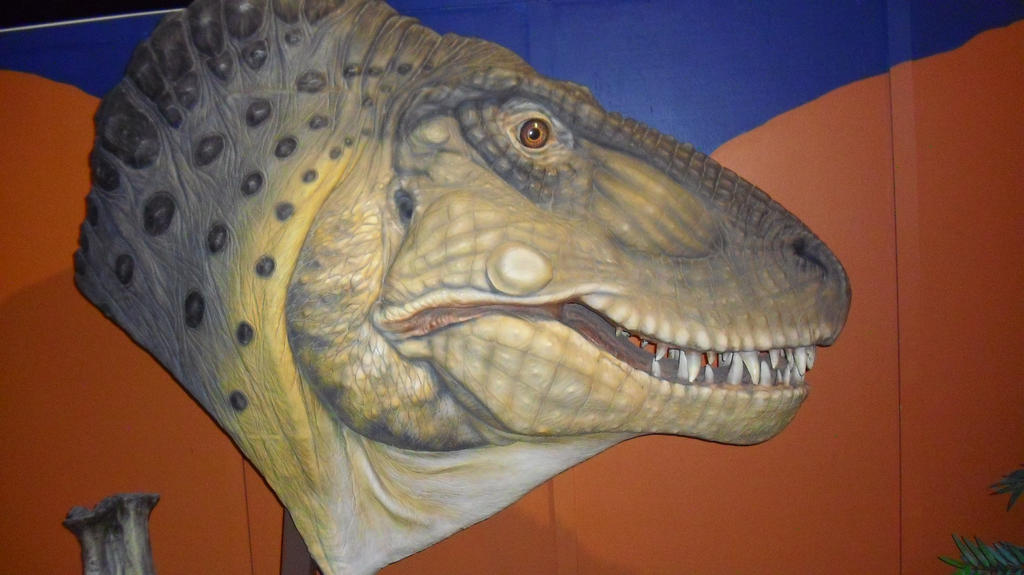 Tyrannosaurus Rex Head by Leviarex on DeviantArt
