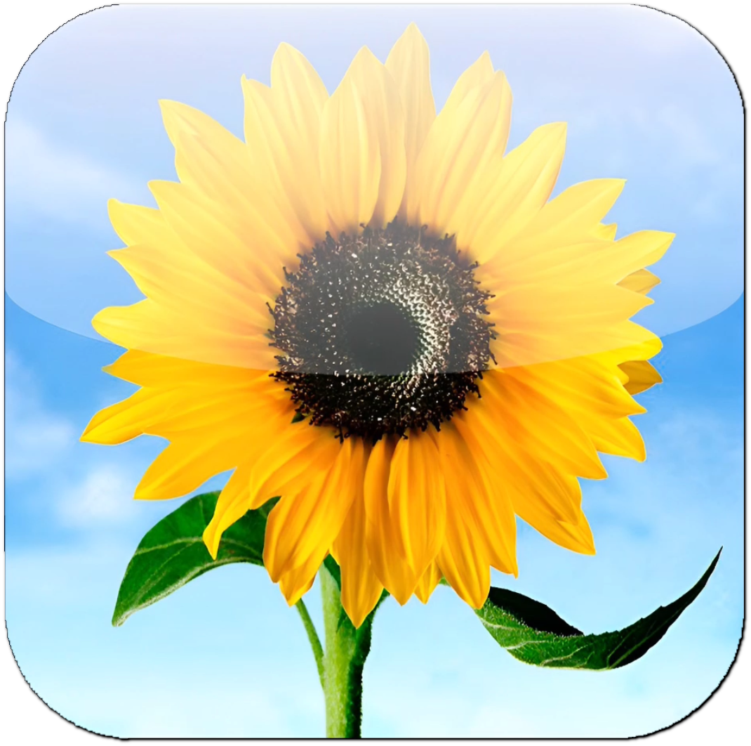 iOS Photos Old Icon (Fan-restoration) by Tomthedeviant2 on DeviantArt