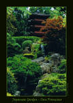 Japanese Garden by Tricia-Danby