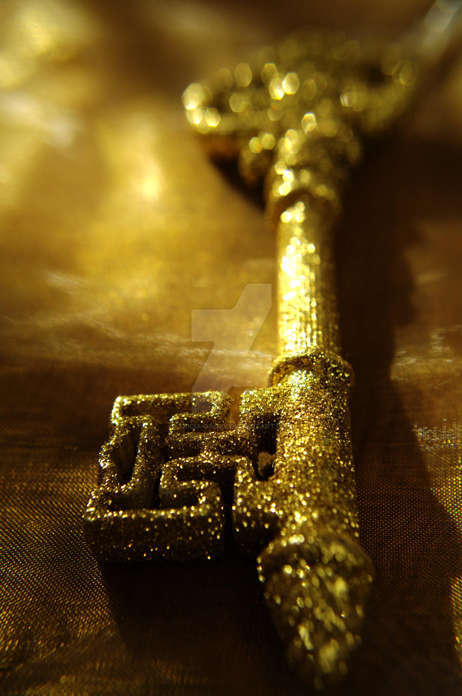 Magic Key Refrence The Magic Key by Tricia-Danby on DeviantArt