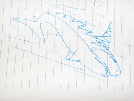 Tiger Shark Drawing