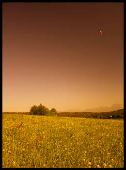 To fly a kite