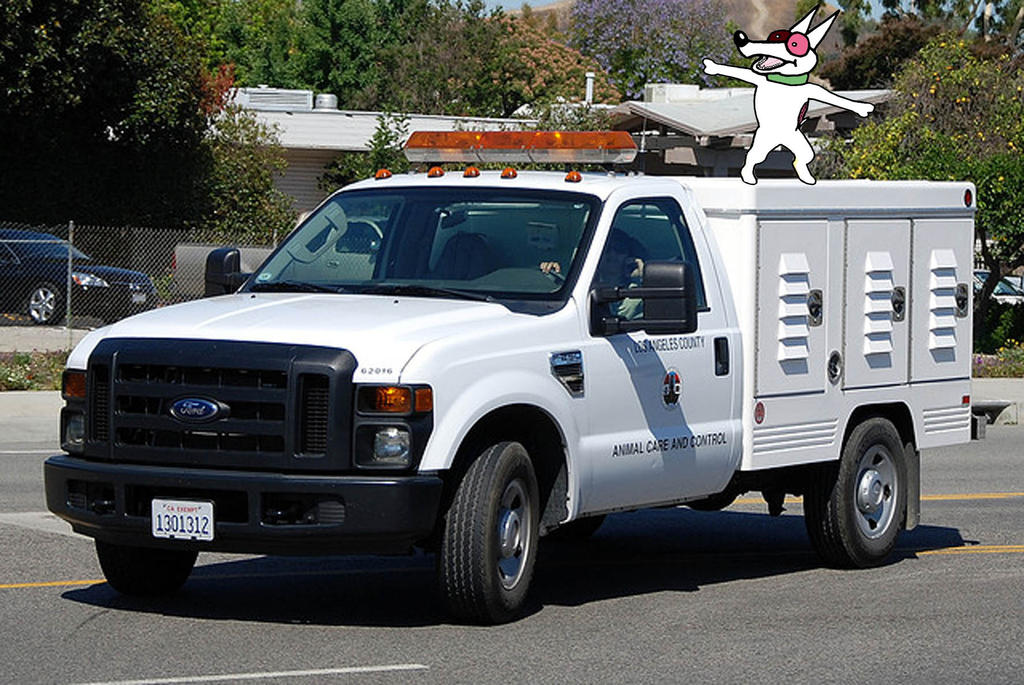 La animal. Форд Каунти. Энималс Контролс. California animal Control. Ford Control внешний вид.