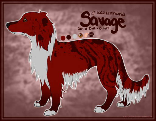 Savage the Kooikerhund