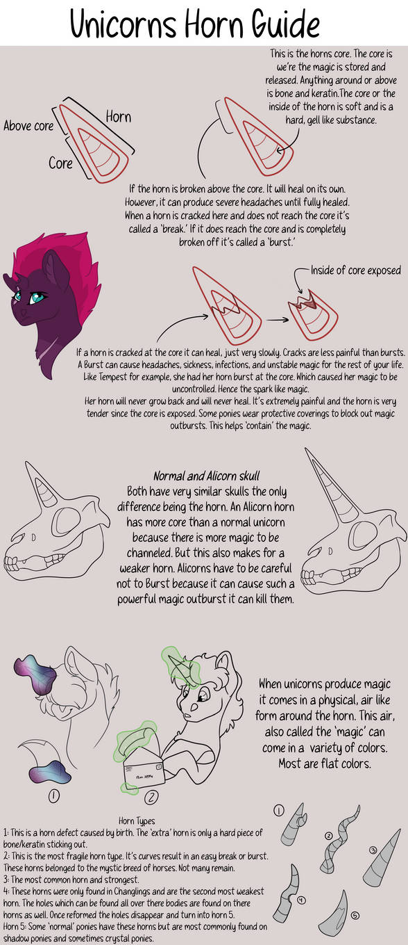 Unicorns Horn Guide by WhiteCanvasMLP on DeviantArt