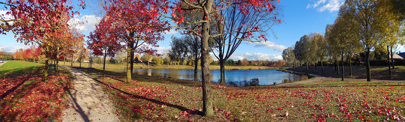 Promenade d'automne