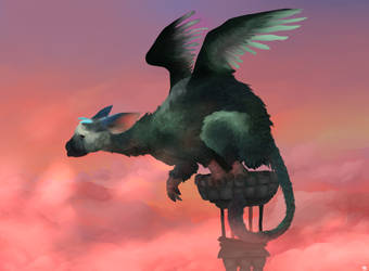 Trico